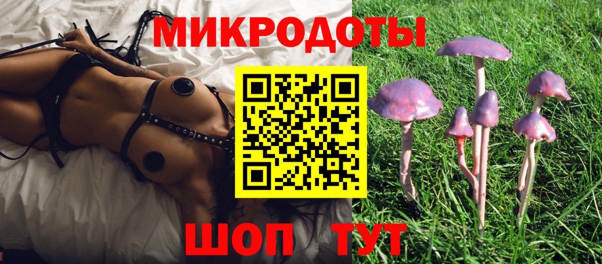 Северобайкальск  Псилоцибиновые грибы прущие грибы  купить закладку  Вход с VPN 